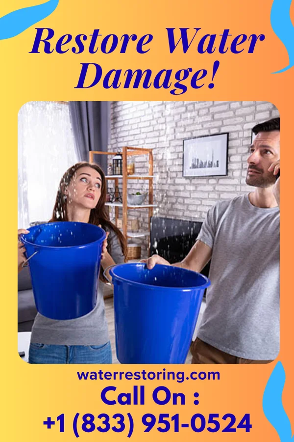 water restoration Classic Cleanup Pros Travilah
