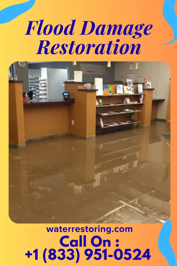 Flood Damage Restoration in Travilah, MD