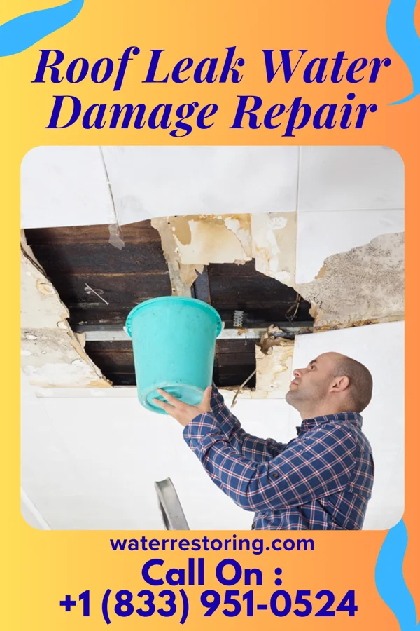 Roof Leak Water Damage Repair in Travilah, MD
