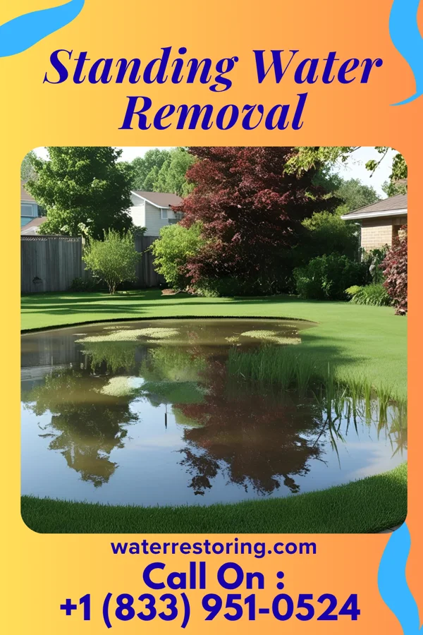 Standing Water Removal in Travilah, MD